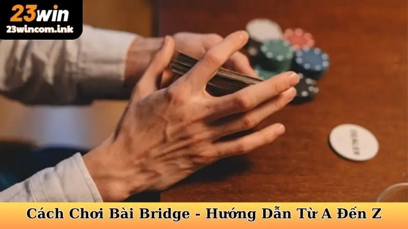 Cách Chơi Bài Bridge - Hướng Dẫn Từ A Đến Z
